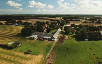 Stock Video Drone Flying Over A Farm For PC