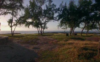Stock Video Drone Flying Low Towards The Ocean For PC