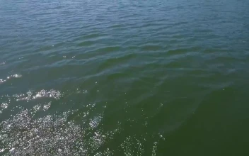 Stock Video Drone Flying Low Across A Lake For PC