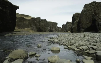 Stock Video Drone Flying Across A Stream For PC
