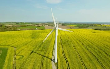 Stock Video Drone Flying Above Wind Turbines For PC
