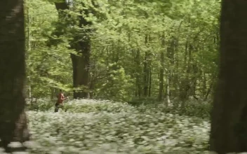 Stock Video Drone Chasing A Runner For PC