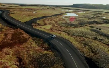 Stock Video Driving Through Moss Covered Fields For PC
