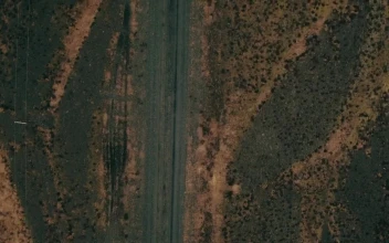 Stock Video Driving Off Road For PC