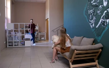 Stock Video Dog Visiting A Vet For PC