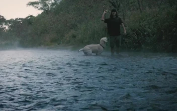 Stock Video Dog And Owner Playing With A Ball In A Creek For PC