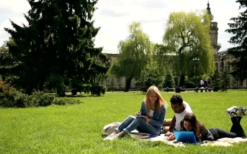 Stock Video Diverse Unversity Students Study On Grass For PC