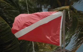 Stock Video Diver Flag Blowing In The Wind For PC