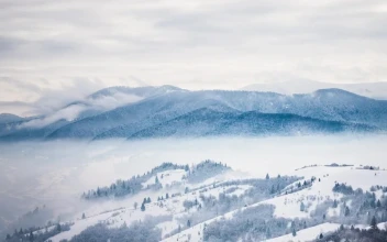 Stock Video Distant View Of Forests In Snowy Mountains For PC