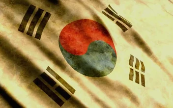 Stock Video Dirty South Korea Flag Waving For PC