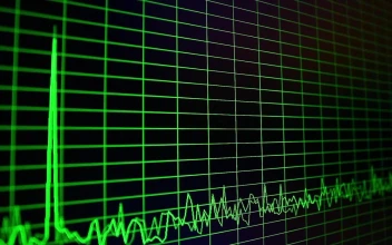 Stock Video Digital Oscillogram On The Screen For PC