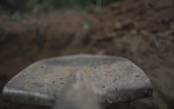 Stock Video Digging In A Field With A Shovel For PC