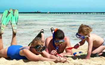 Stock Video Digging In The Sand With A Toy Shovel For PC