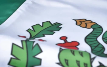 Stock Video Detailed View To The Flag Of Mexico For PC