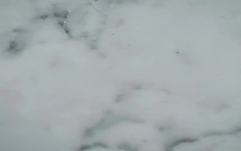 Stock Video Detailed Texture Of A Smooth Marble Surface For PC