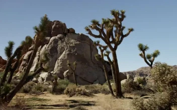 Stock Video Desert With Rocky Mounds For PC