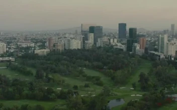 Stock Video Mixkit Flying Over A Large Park Surrounded By A Metropolis Smal For PC