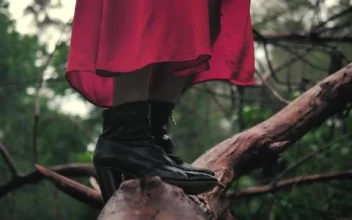 Stock Video Mixkit Feet Of A Woman Standing On A Large Branch Seen Smal For PC