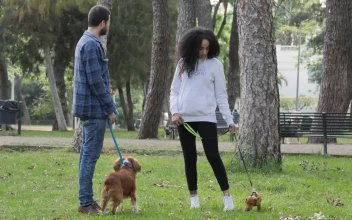 Stock Video Friends Chatting In A Park With One Dog Each For PC