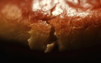 Stock Video Freshly Baked Bread For PC