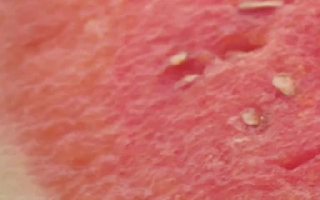 Stock Video Fresh Watermelon Cut Into Parts For PC