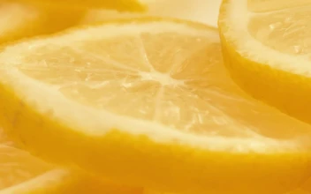 Stock Video Fresh Orange Slices For PC