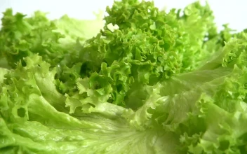 Stock Video Fresh Ingredients For Salad In Detail For PC