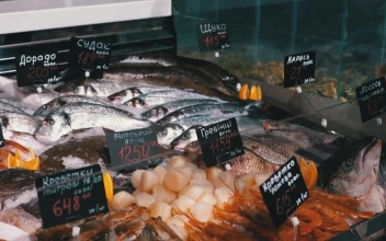 Stock Video Fresh Fish In The Counter Ready For Sale For PC