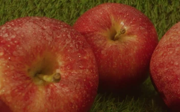 Stock Video Fresh Apples In A Row On A Natural Background For PC