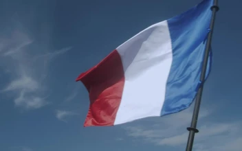 Stock Video French Flag Being Waved For PC