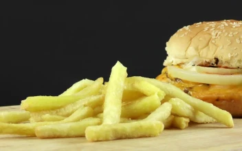 Stock Video French Fries Next To A Burger For PC