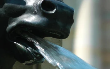 Stock Video Fountain In The Shape Of An Animal Sculpture Close Up For PC