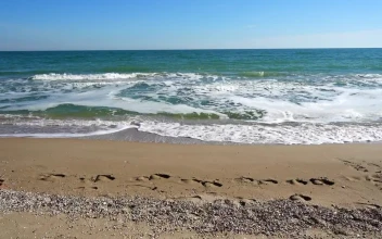 Stock Video Footprints Along The Shore For PC