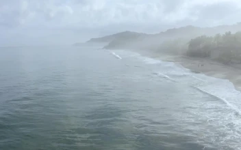 Stock Video Foggy Ocean Landscape For PC