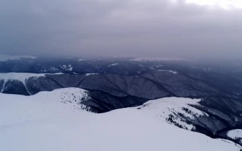 Stock Video Foggy Day In A Winter Environment For PC