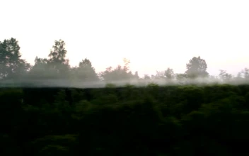 Stock Video Fog Outside The Train Window For PC