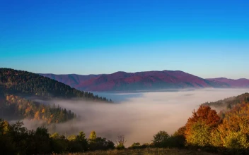 Stock Video Fog Covering Forests In The Mountains For PC