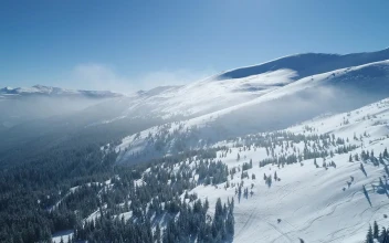 Stock Video Fog Covering A Beautiful Snowy Forest For PC