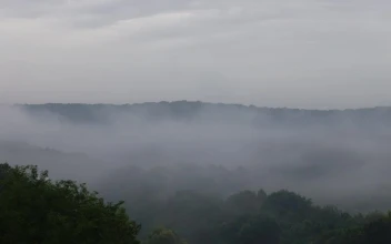 Stock Video Fog Across The Hills For PC