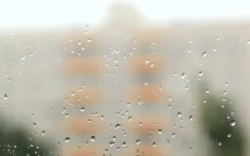 Stock Video Focus Switching Between The Window And Building For PC