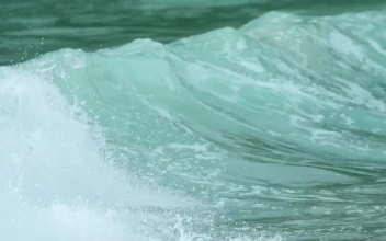 Stock Video Foamy Waves Crashing For PC