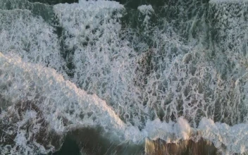 Stock Video Foamy Wave Surface On A Shoreline From Above For PC