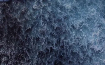Stock Video Foamy Ocean Waves Reaching The Shore Top Shot For PC