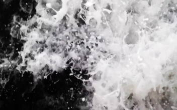 Stock Video Foam Texture Created By Water Waves For PC