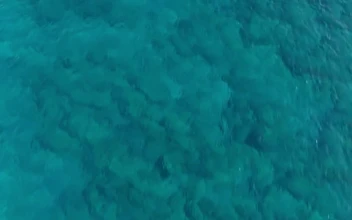 Stock Video Flyover Of Mediterranean Sea Ending In Italian Villas For PC