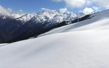 Stock Video Flying Through Snowy Mountains And The Pine Forest For PC