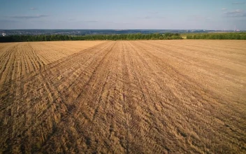 Stock Video Flying Through A Freshly Plowed Agricultural Field For PC