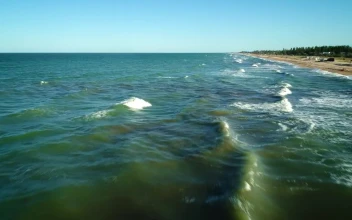 Stock Video Flying Over The Waves On The Seashore For PC