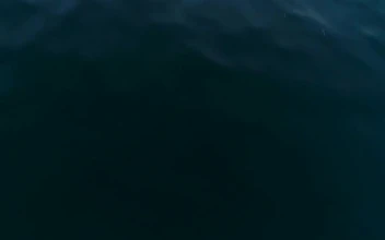 Stock Video Flying Over The Sea Revealing The Skyline At Sunset For PC