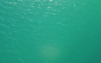 Stock Video Flying Over The Azure Blue Water Of A Beach For PC